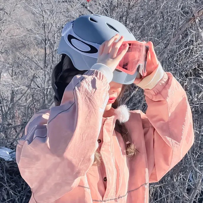 龙虎武师封面